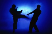 Martial Arts Online logo