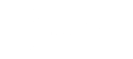 $Money Witch$ logo