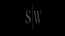 Stealth Wealth Investing's Guide to Stock Trading logo