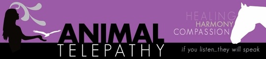 Animal Telepathy logo