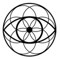 Holistic Eye Care Center logo