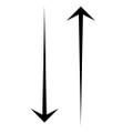 The Fun Sized Life logo