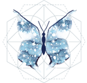 Astro Butterfly logo
