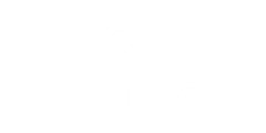 Drone Pro Academy logo