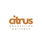 Citrus Equestrian Wellness's School