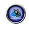 Salesforce Grizzly