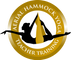 AERIAL HAMMOCK TEACHER TRAININGS ONLINE