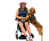 Service Dog Success Online School