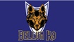 Bellum K9's Training System 