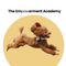 Empawerment Academy