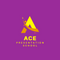 Ace Presentation School