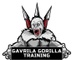 Gavrila's Gorilla Training