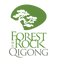 The Forest Rock Qigong