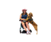 Service Dog Success Online School