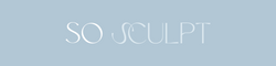 Body Sculpting Course By So Sculpt