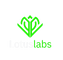 Advanced Blockchain Developer