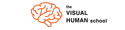 The Visual Human School