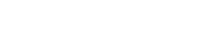 Camino University - Spanish