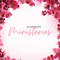 Alabaster Ministries 
