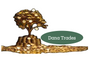 DanaTrades. Introduction to Options Trading.