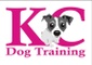 Training dogs with Alexis from Kent Companion Dog Training