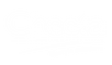 Cheeta Marketing Institute (CMI)