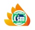 CSM IAS Institute's 