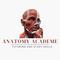 Anatomy Academe: AP Tutoring and Study Success