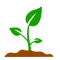 Emerge to Prosper