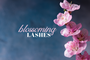 Blossoming Lashes