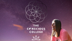 The Conscious College