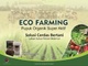 eco farming's School