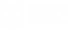 Academia VBHC School