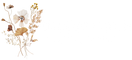 Megan Aaron Photography Courses