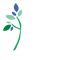 Academia ICM