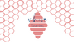 V Hive Learning
