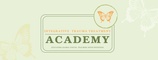 Integrative Trauma Treatment Academy