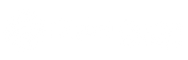 Digital Starter