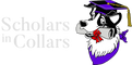 Scholars In Collars Dog Training