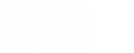 BOUQ Paper Flowers