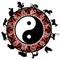 Astro-pillars Chinese Astrology