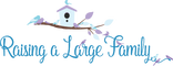 The Balanced Motherhood Academy