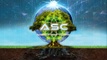 The Awakening Sovereignty Collective