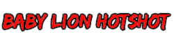 Baby Lion Hotshot Academy