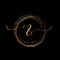 Ampersand Learning School