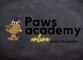 Paws Academy