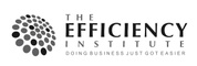 The Efficiency Institute