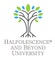 Halfolescence and Beyond University