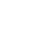 Born Fitness