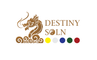 DestinySoln Academy